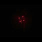 FF21231 - 38mm - RC - 8s - LD - Red Crossette