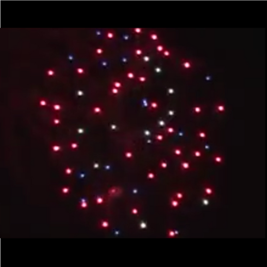 19 Shot 50mm Shell Cake Lidu Fireworks  Red, White, Blue Peony