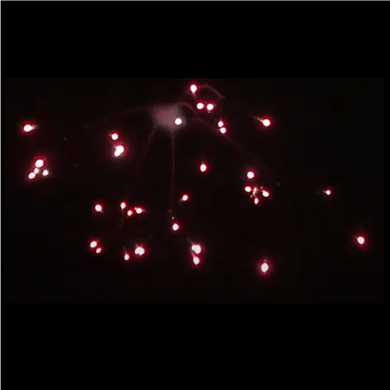 75mm Shell Lidu Fireworks Red Crackling Crossette