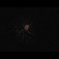 19 Shot 50mm Shell Cake Lidu Fireworks Brocade Crown w/Blue Star